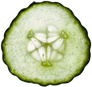 concombre-tranche-mitch98000