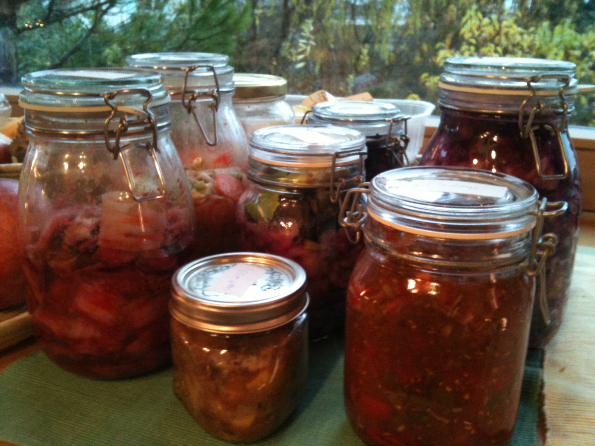 Les aliments lactofermentés : de précieux alliés pour notre santé