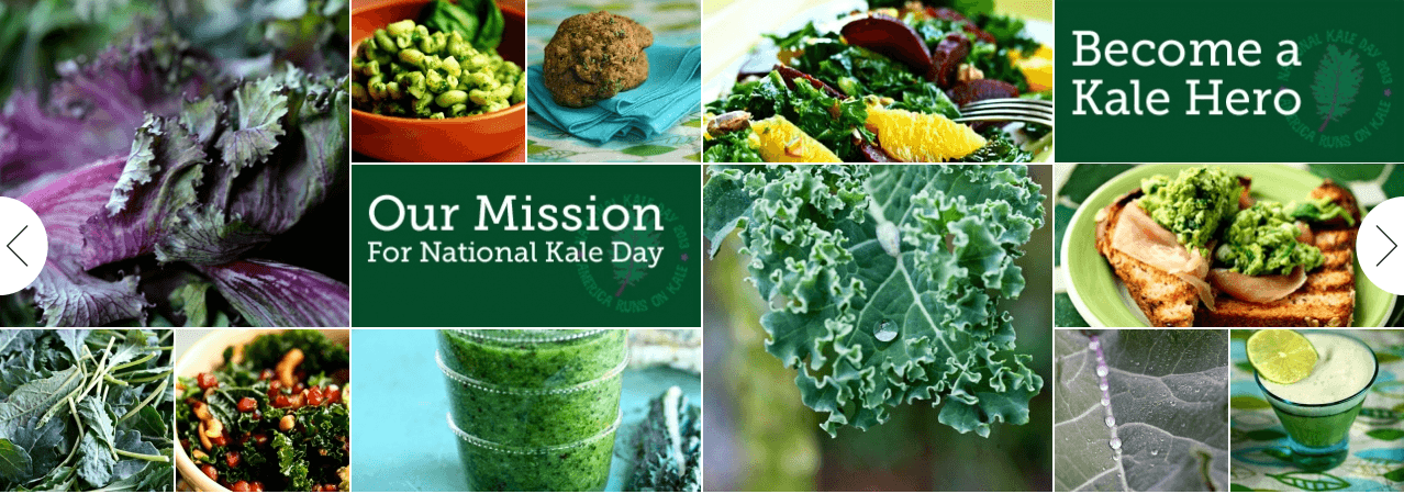 Salade de Chou Plume