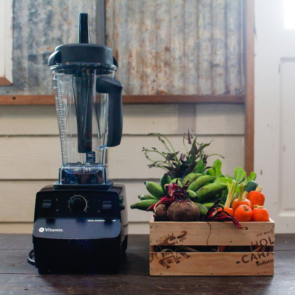 Comment choisir son Vitamix?