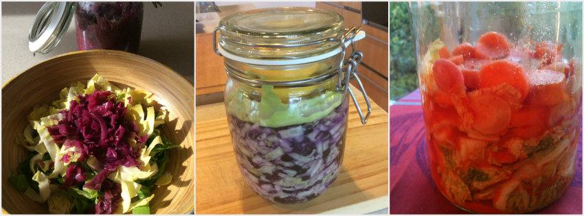 Les secrets de la fermentation!