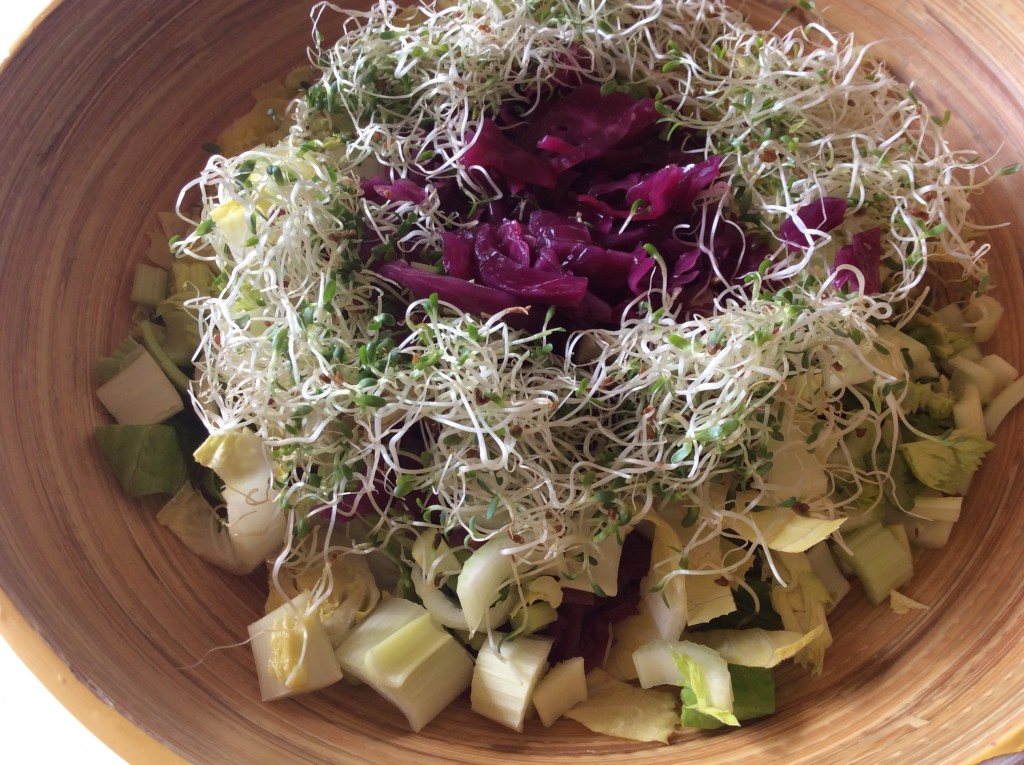 Salade & ferment3