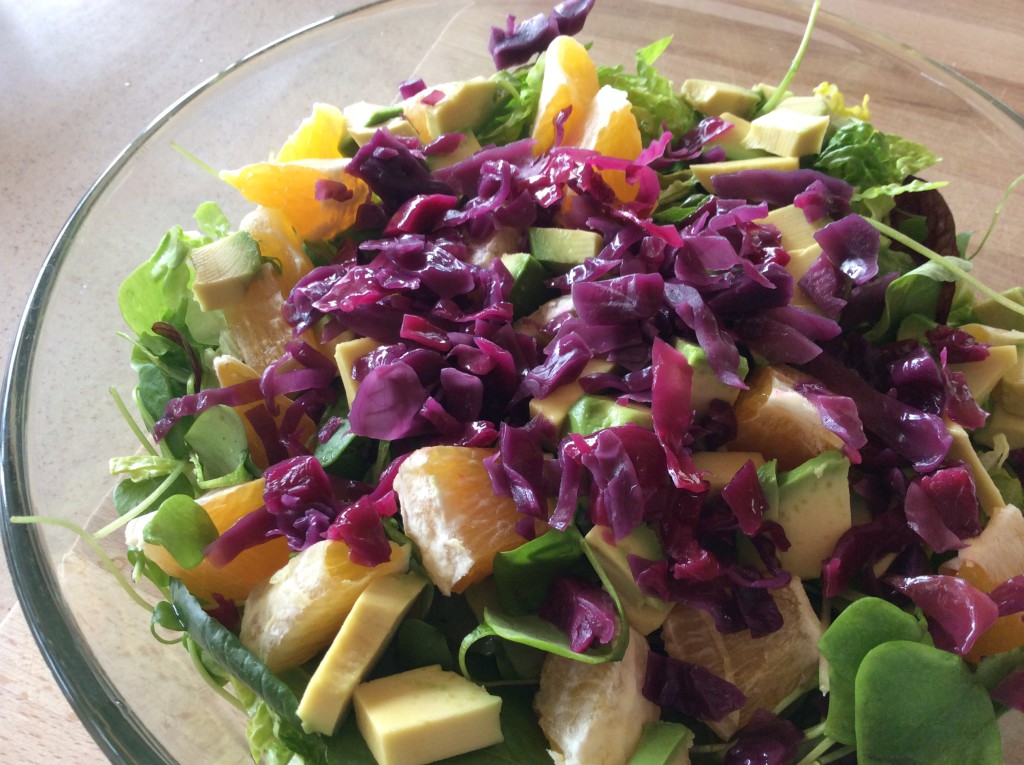 Salade & ferment4