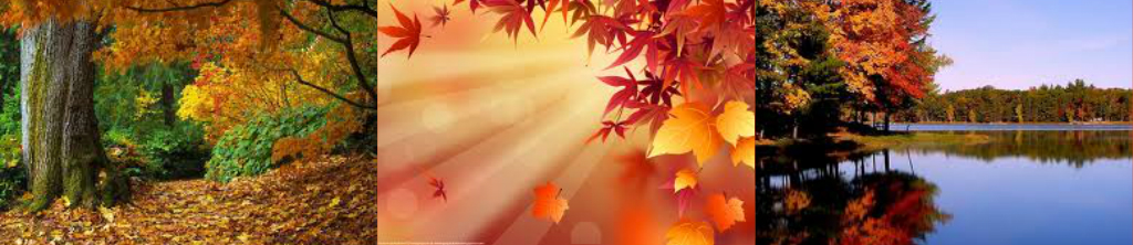 A l’écoute des cycles de la nature: l’équinoxe d&rsquo;automne