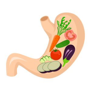 illustration dedicated to healthy eating - vegetables in the stomach.